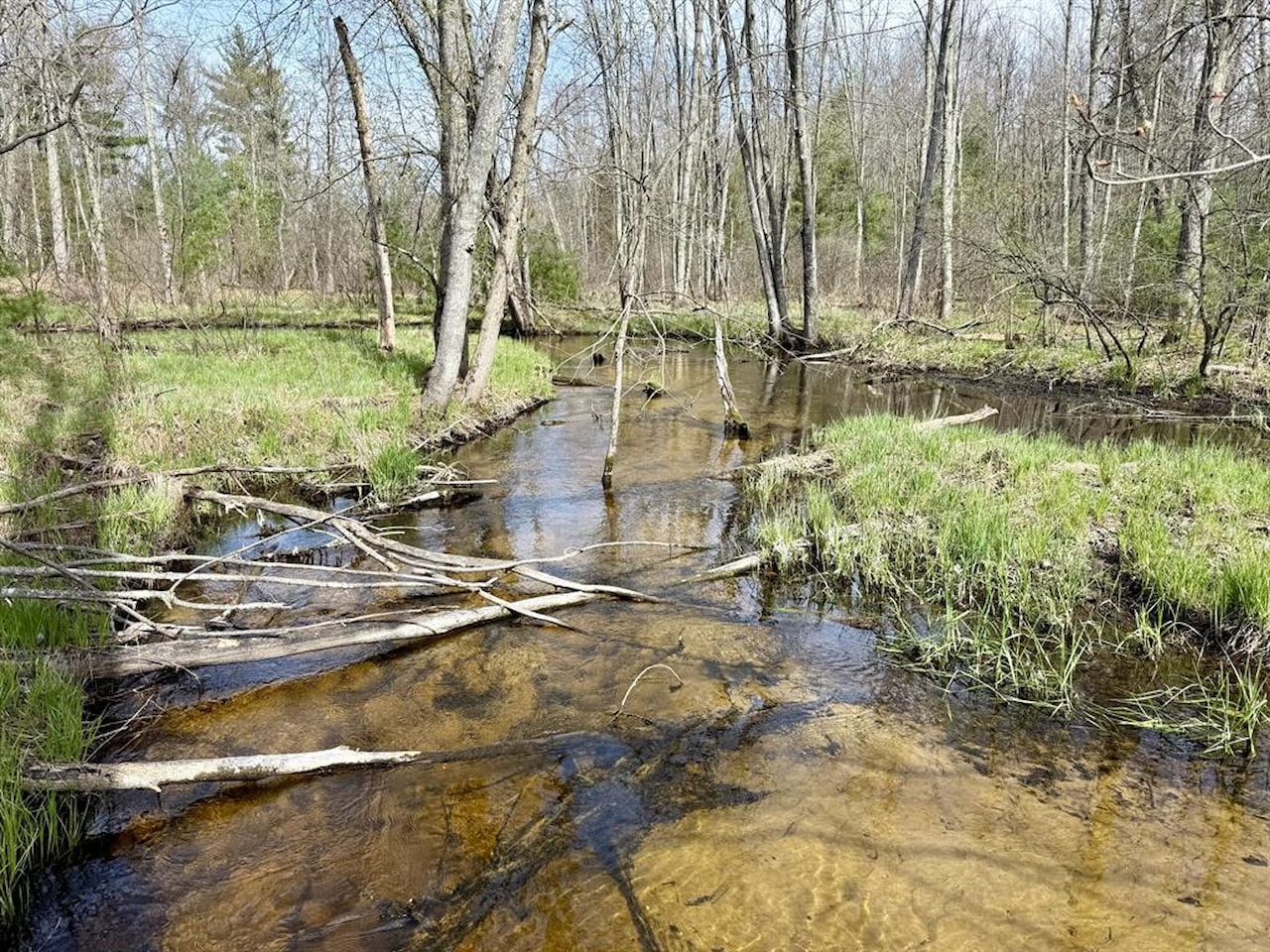 00# N Benson Rd in Branch Twp, MI Photo 8