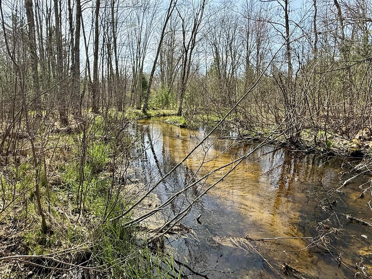 00# N Benson Rd in Branch Twp, MI Photo 9