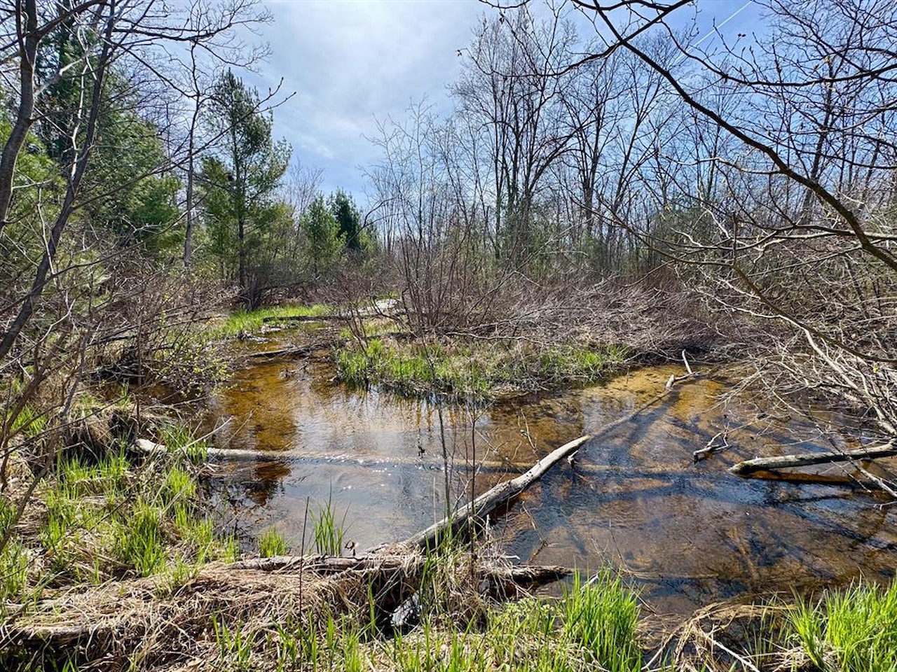 00# N Benson Rd in Branch Twp, MI Photo 10