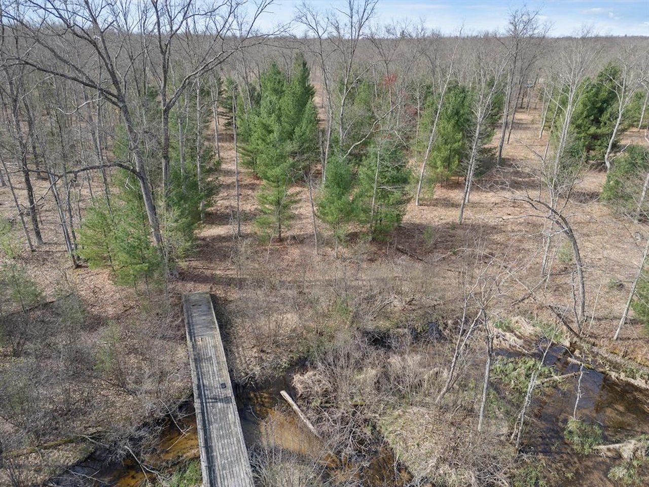 00# N Benson Rd in Branch Twp, MI Photo 11