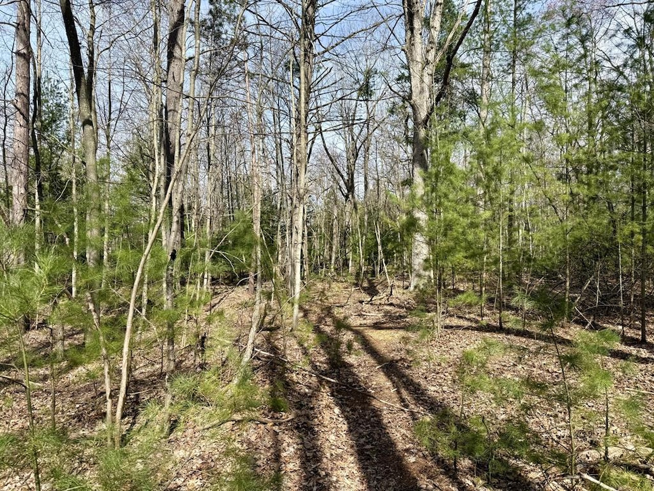 00# N Benson Rd in Branch Twp, MI Photo 13