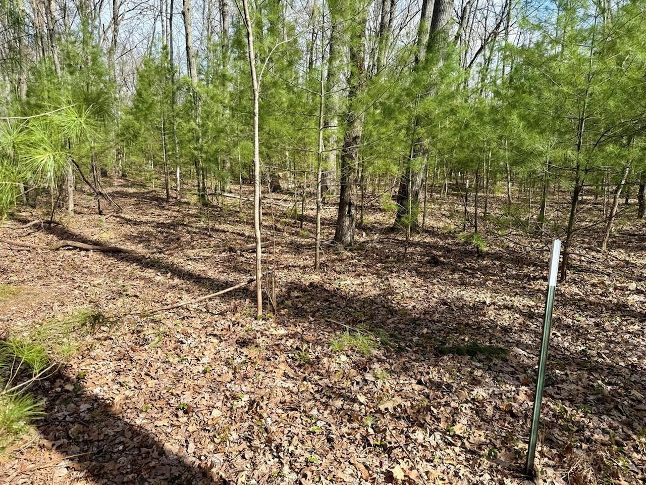 00# N Benson Rd in Branch Twp, MI Photo 14