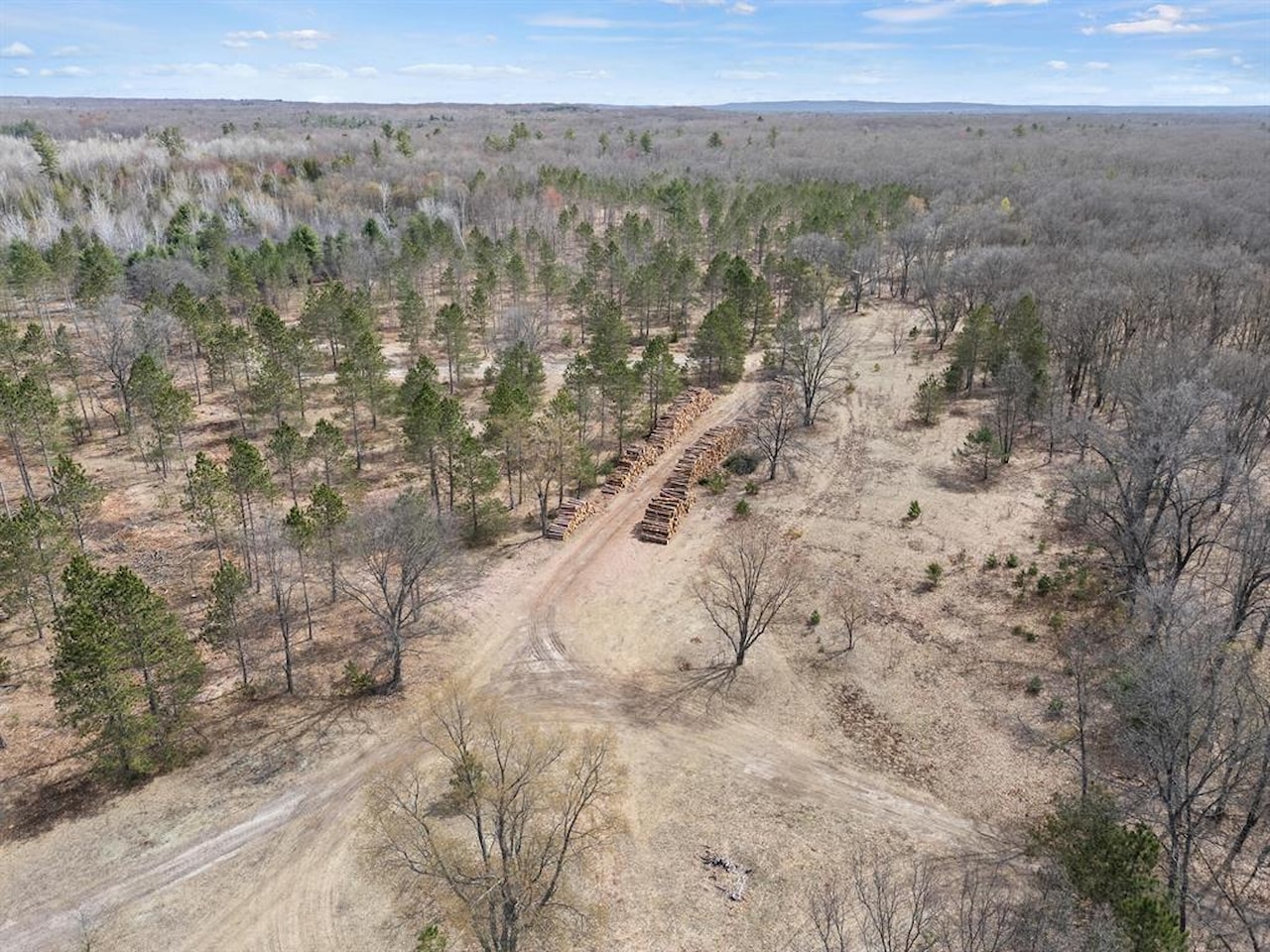 00# N Benson Rd in Branch Twp, MI Photo 19