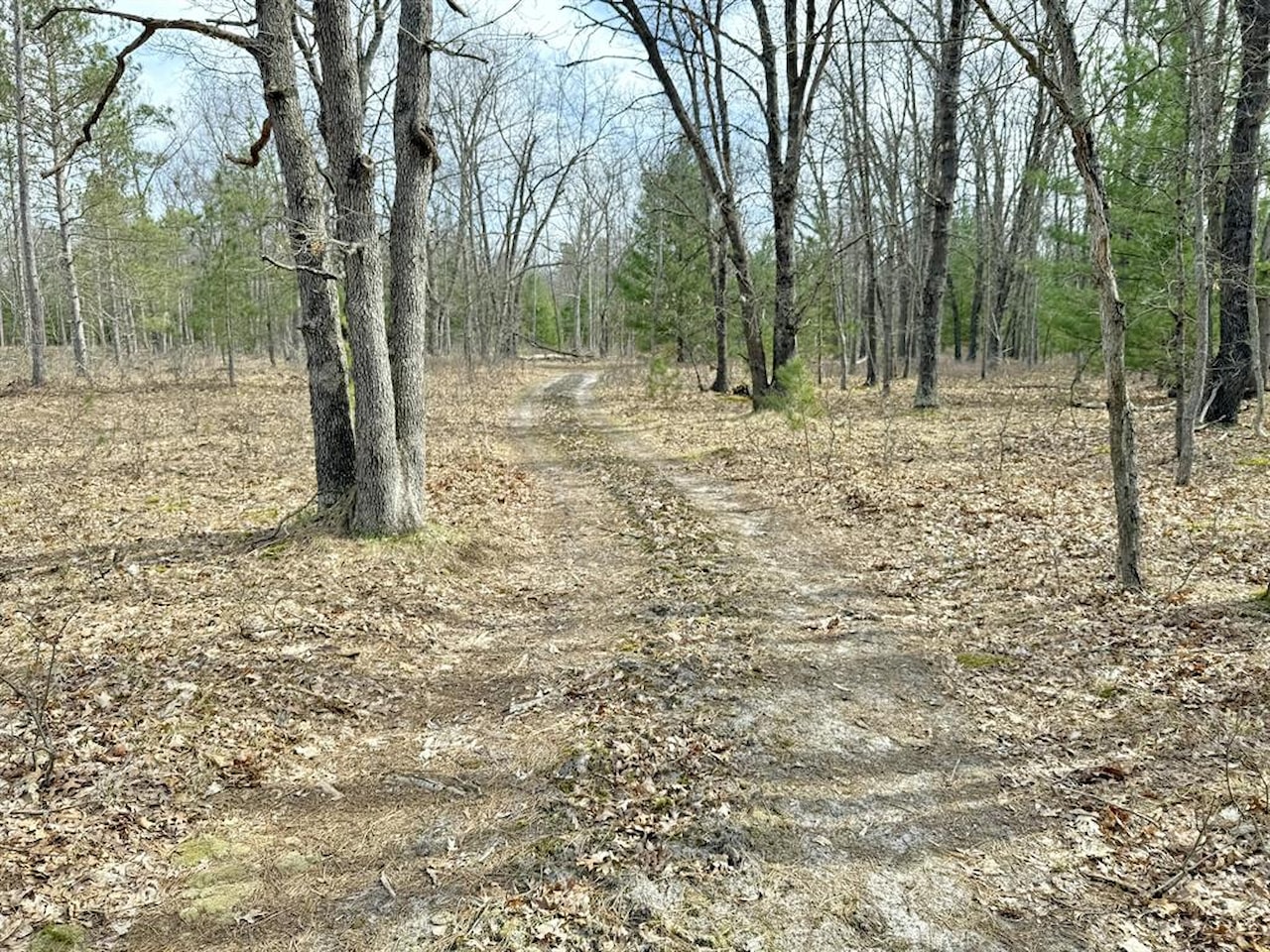 00# N Benson Rd in Branch Twp, MI Photo 20