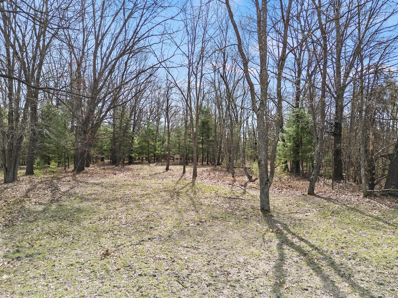 00# N Benson Rd in Branch Twp, MI Photo 22