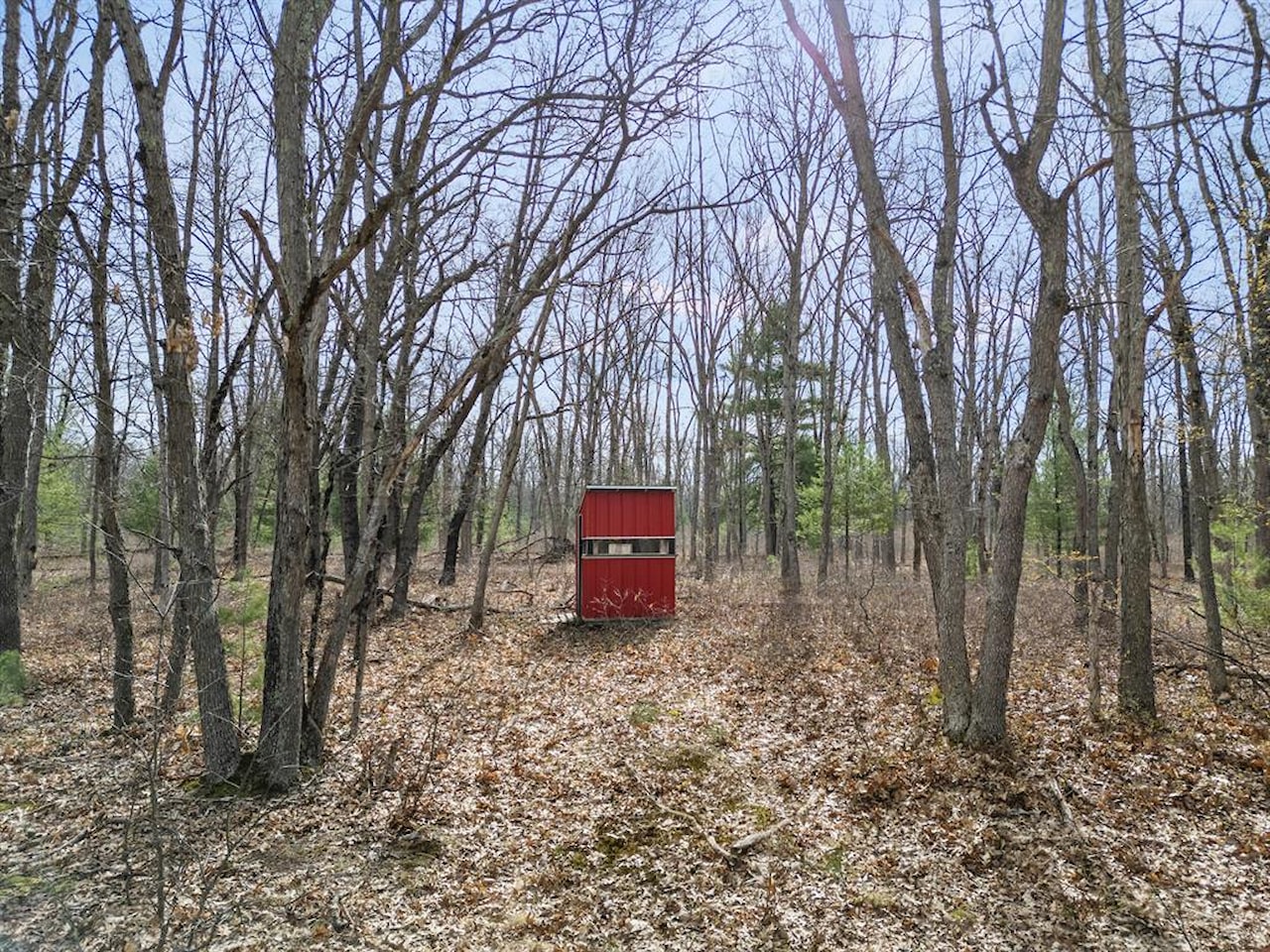00# N Benson Rd in Branch Twp, MI Photo 23