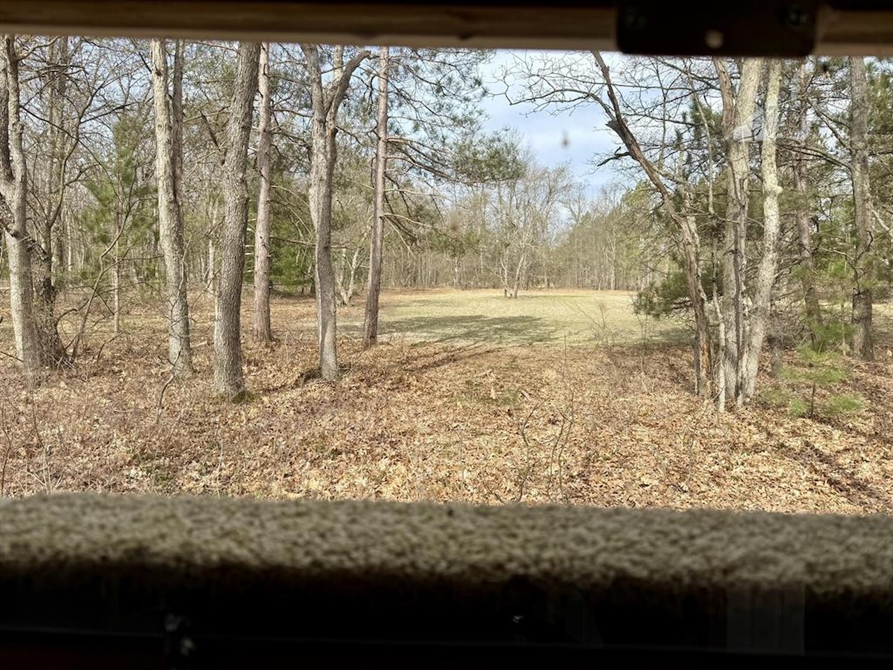 00# N Benson Rd in Branch Twp, MI Photo 25