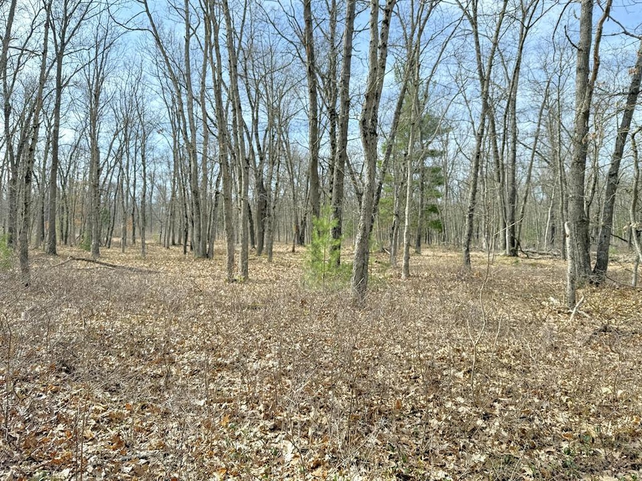 00# N Benson Rd in Branch Twp, MI Photo 26