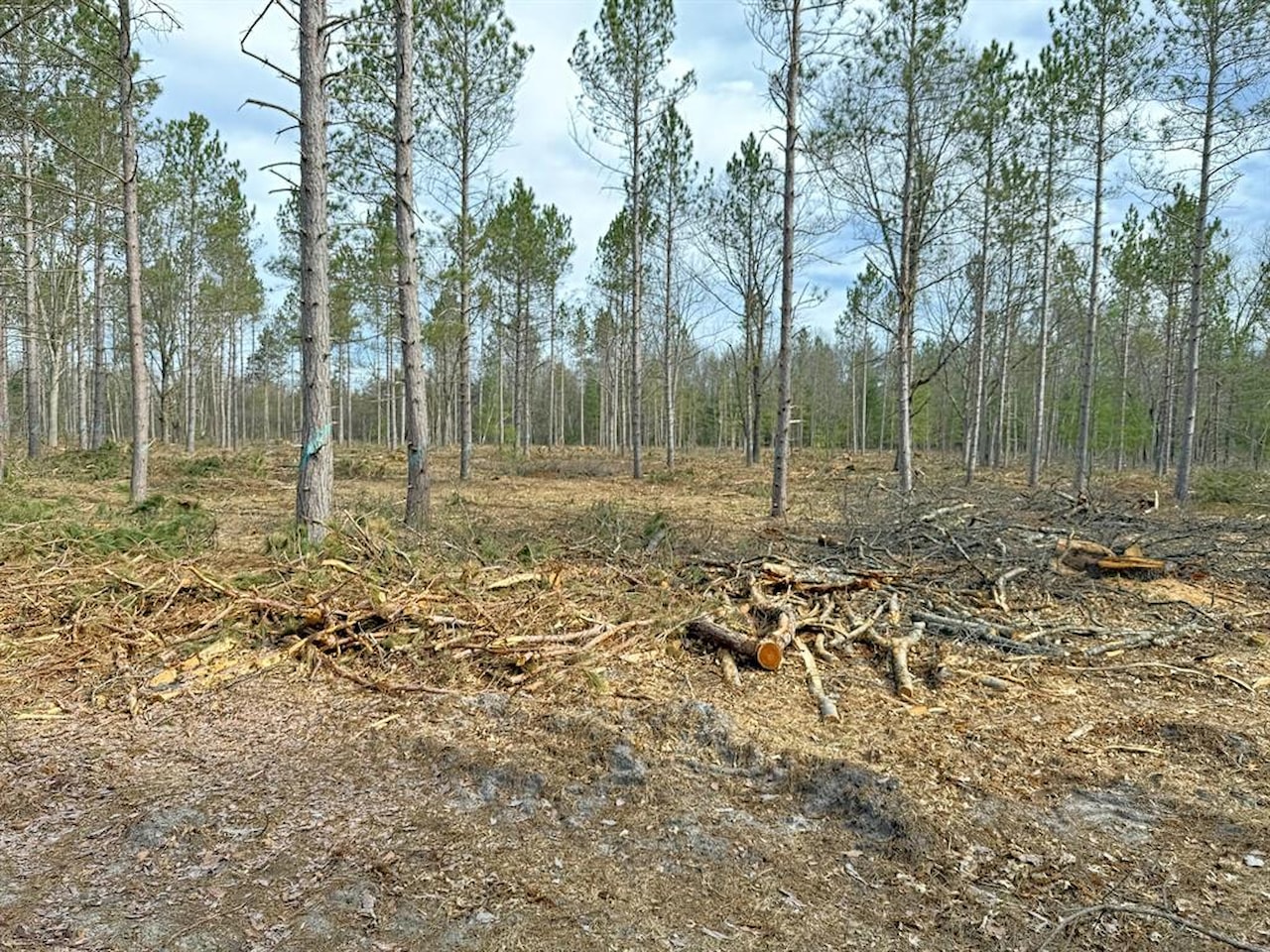 00# N Benson Rd in Branch Twp, MI Photo 27