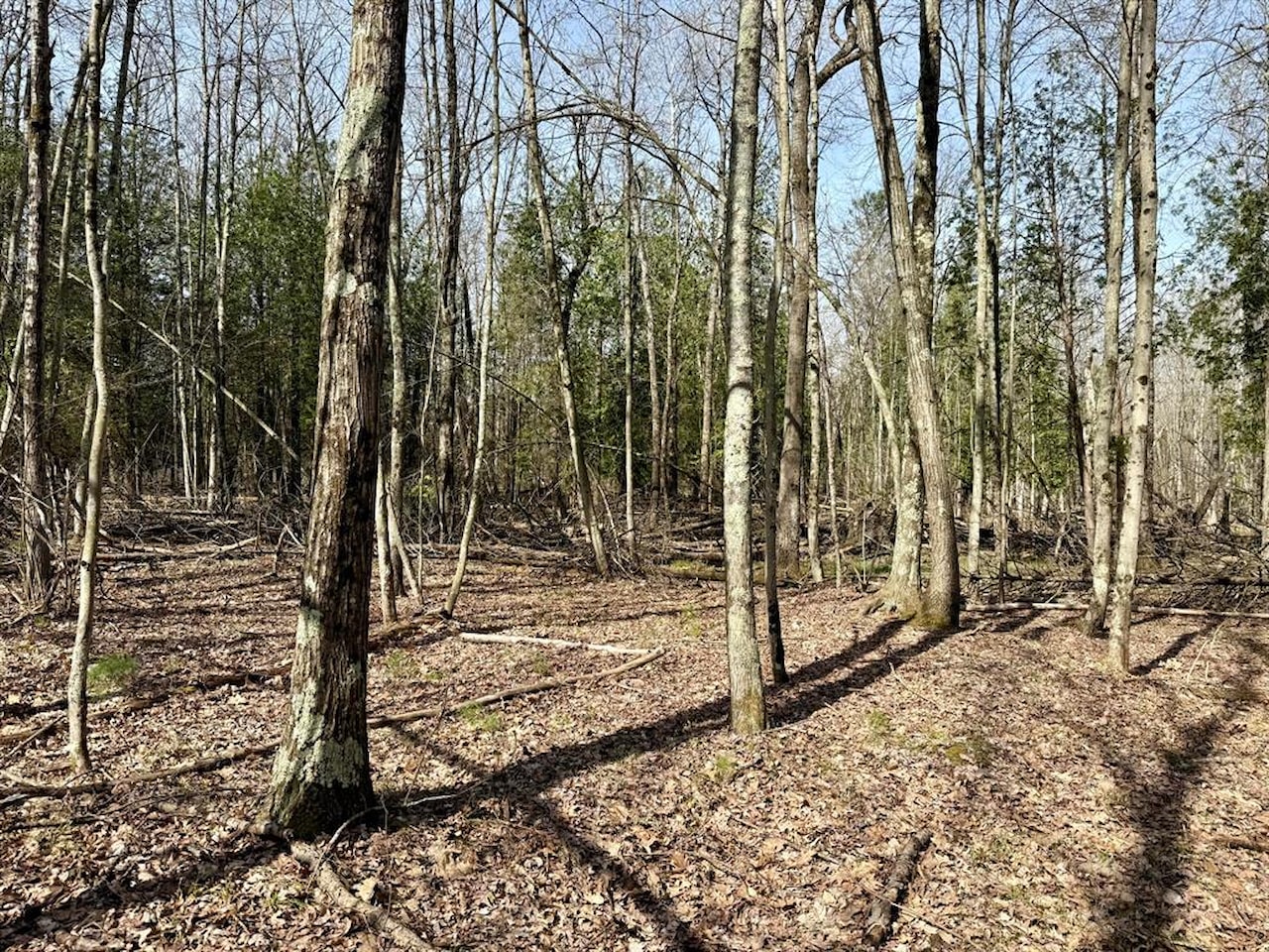 00# N Benson Rd in Branch Twp, MI Photo 28