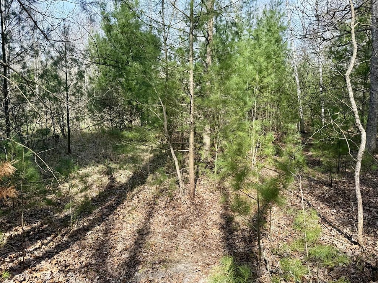 00# N Benson Rd in Branch Twp, MI Photo 29