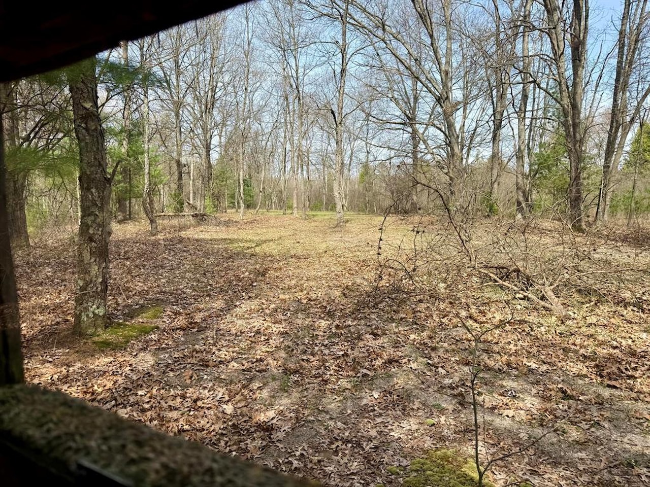 00# N Benson Rd in Branch Twp, MI Photo 32