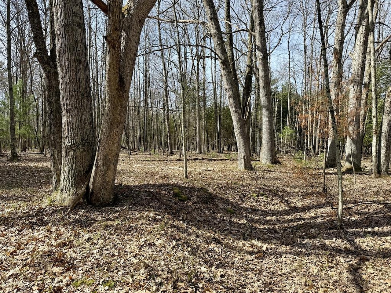00# N Benson Rd in Branch Twp, MI Photo 33