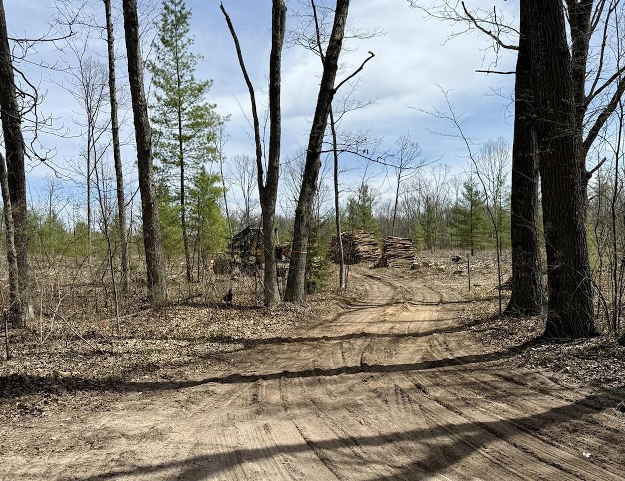 00# N Benson Rd in Branch Twp, MI Photo 35