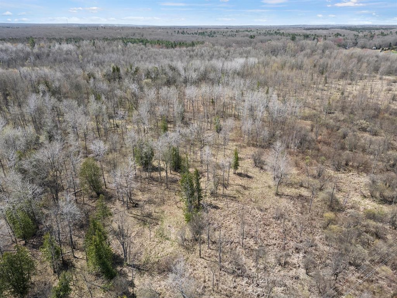 00# N Benson Rd in Branch Twp, MI Photo 37