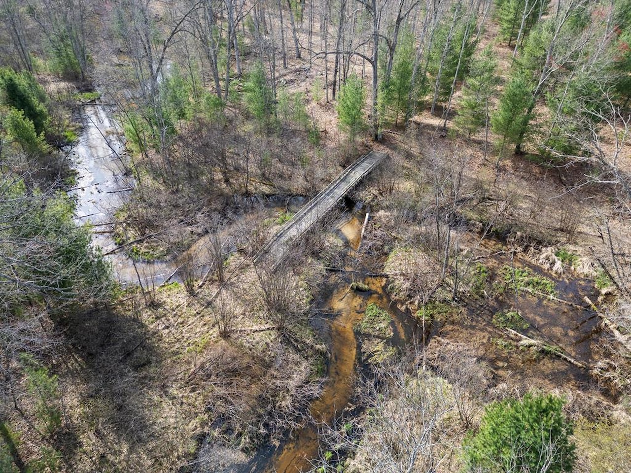 00# N Benson Rd in Branch Twp, MI Photo 39