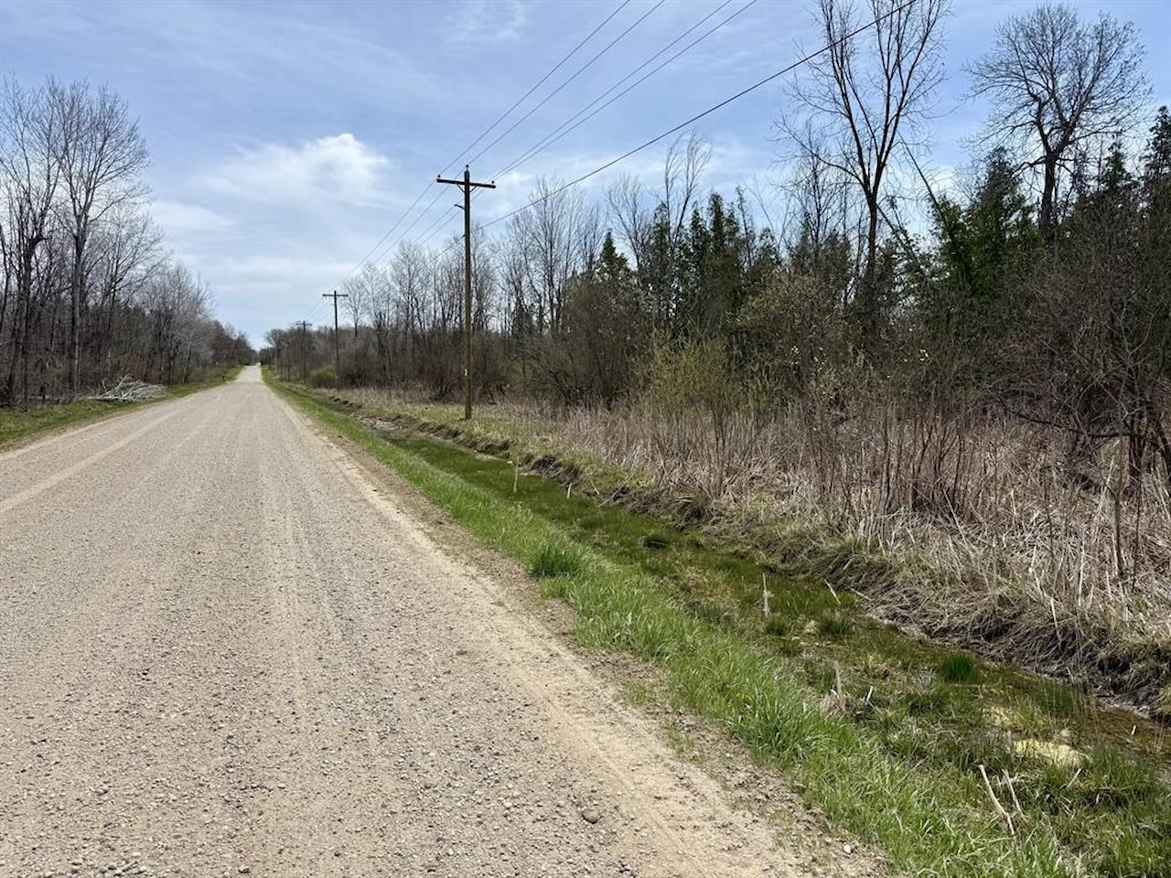00# N Benson Rd in Branch Twp, MI Photo 49