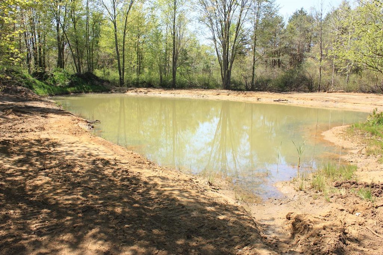 3889 Dalson Rd in Dalton Twp, MI Photo 5
