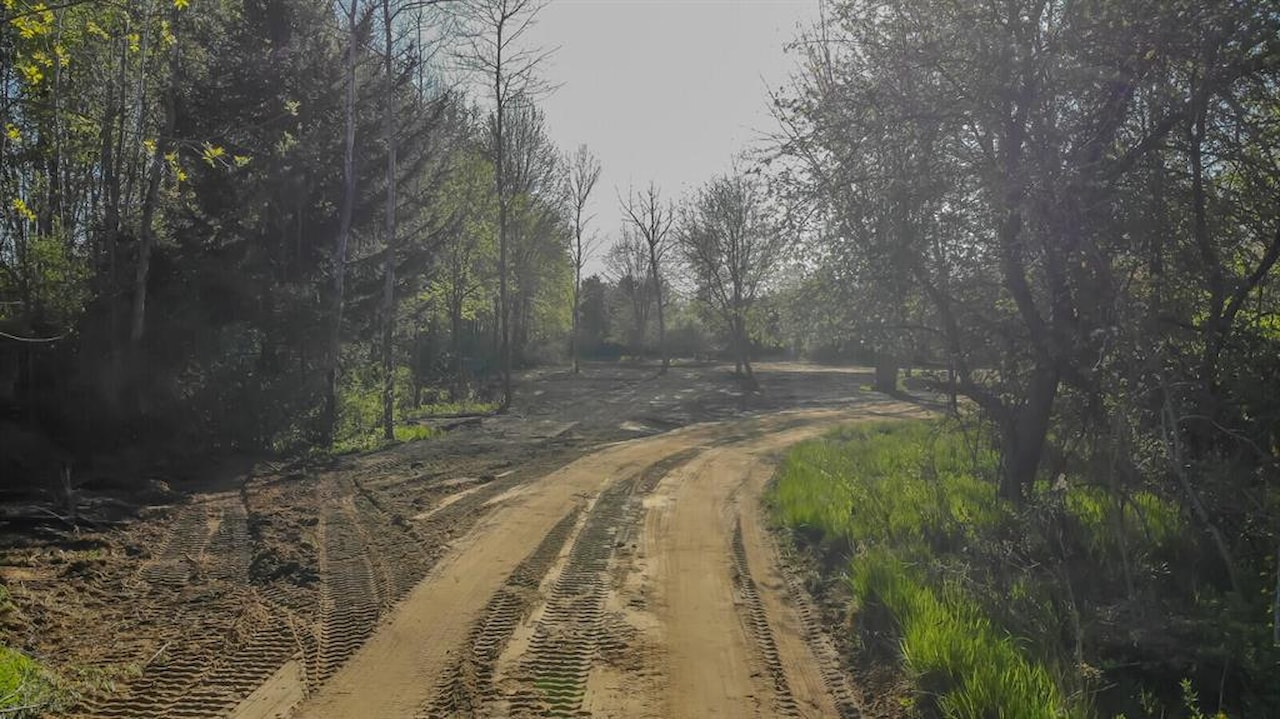 3889 Dalson Rd in Dalton Twp, MI Photo 14