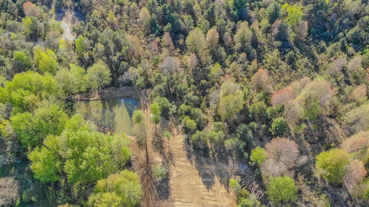 3889 Dalson Rd in Dalton Twp, MI Photo 28