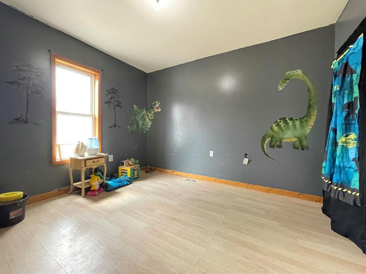 217 N Pickard St in Marion Twp, MI Photo 12