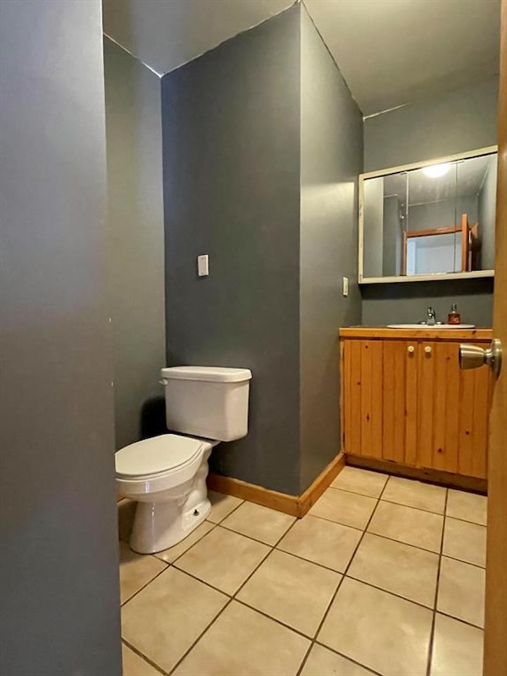 217 N Pickard St in Marion Twp, MI Photo 19