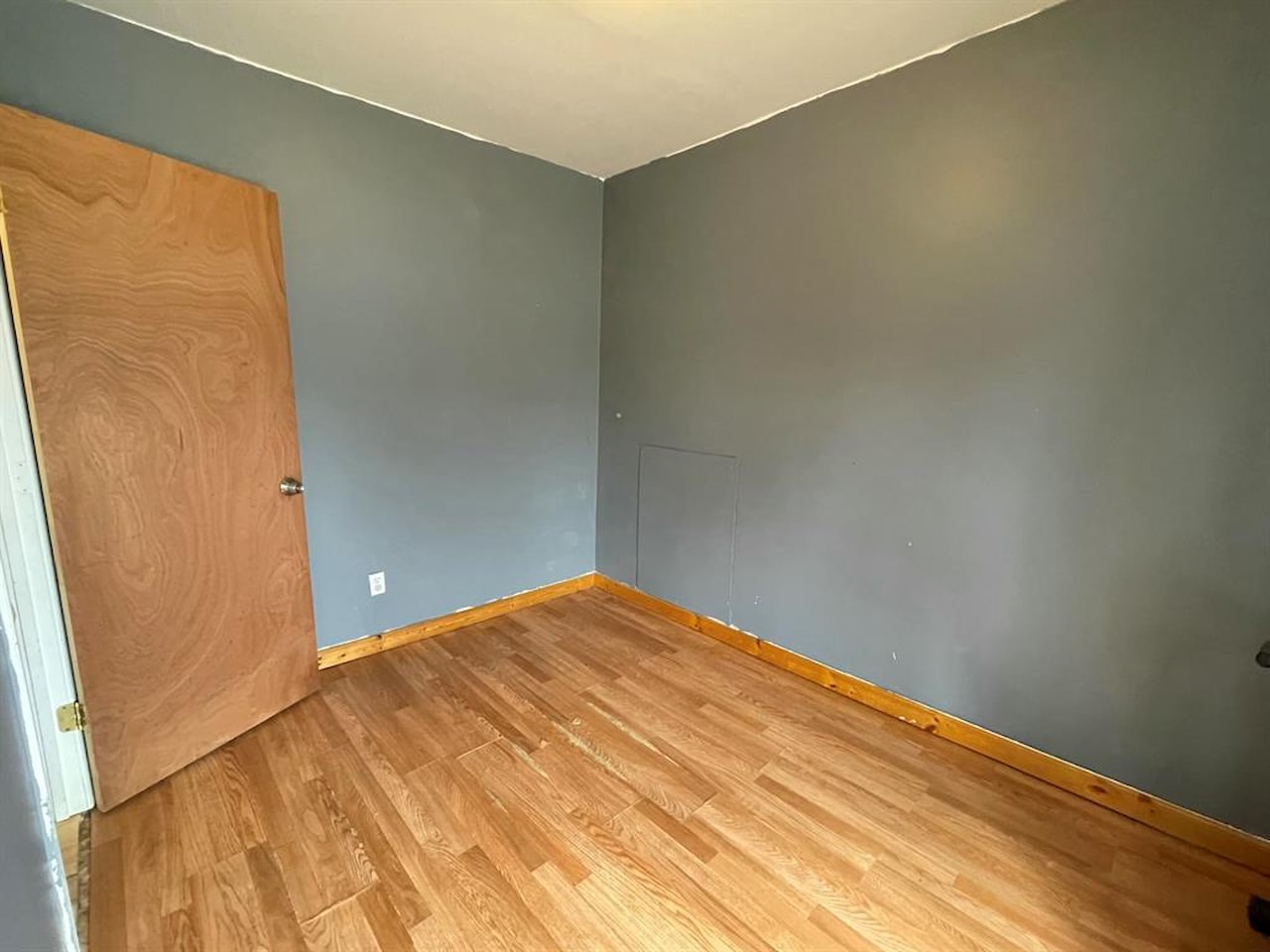 217 N Pickard St in Marion Twp, MI Photo 20