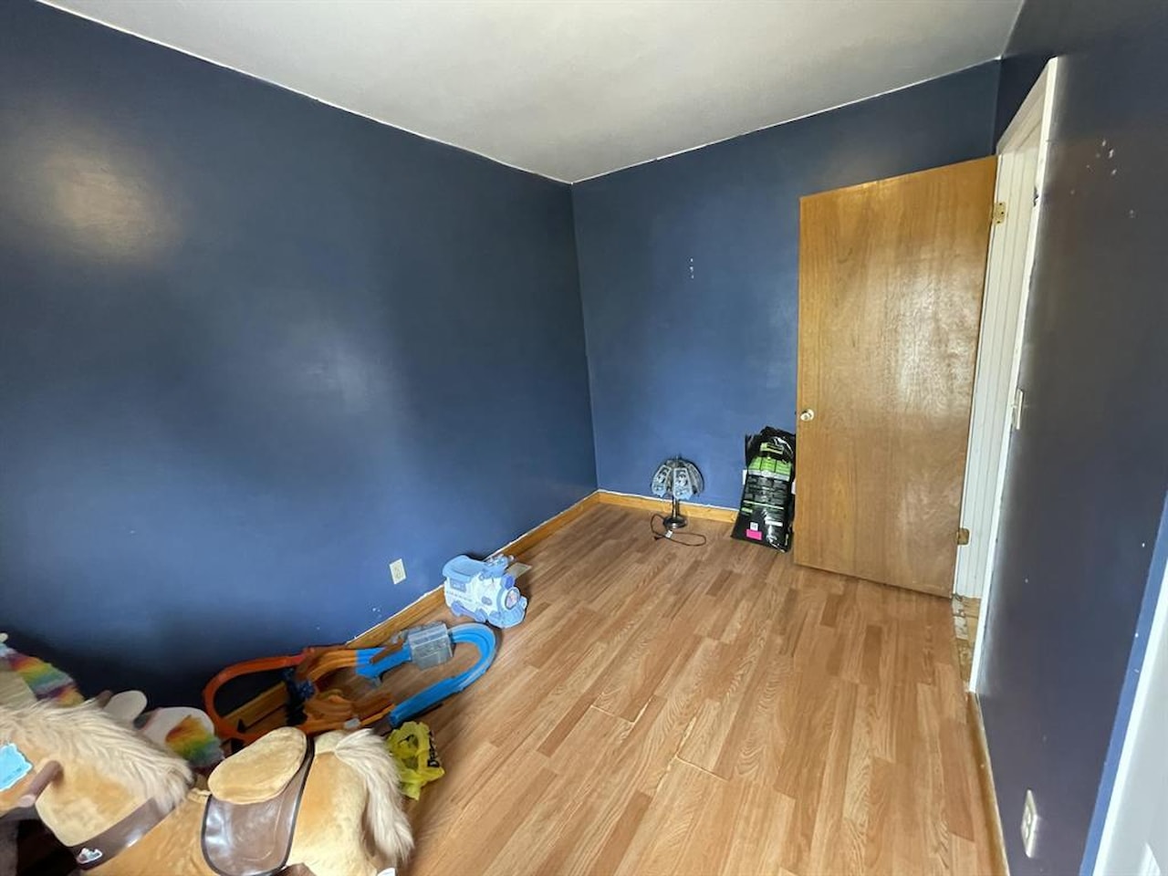 217 N Pickard St in Marion Twp, MI Photo 21