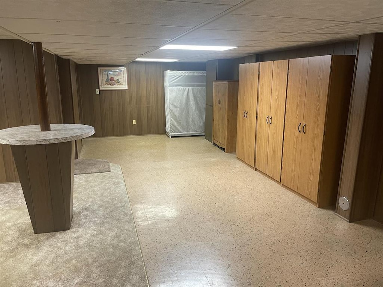 950 Raymond St in Ann Arbor, MI Photo 25