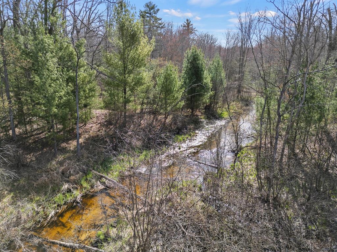 00# N Benson Rd in Branch Twp, MI Photo 2