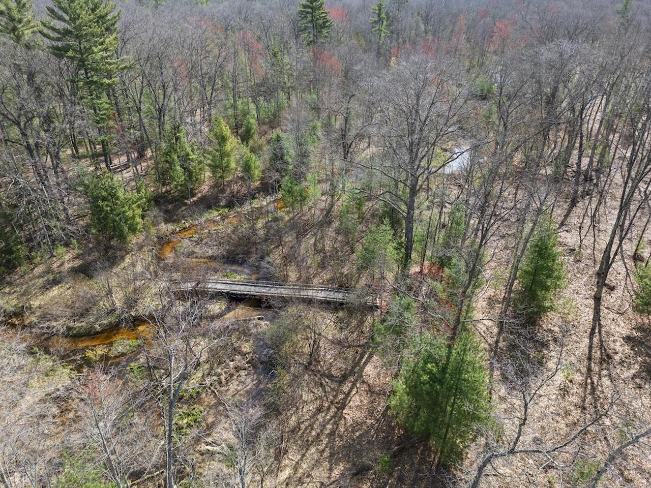 00# N Benson Rd in Branch Twp, MI Photo 4
