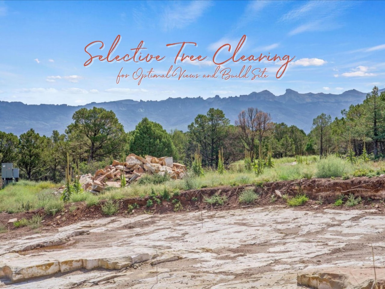 TBD Pine Dr #23 Ridgway, COLORADO 81432 | MLS 43296 Photo 9