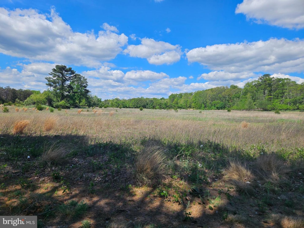 1252 W Oak Rd Vineland, NJ 08360 | MLS NJCB2023908