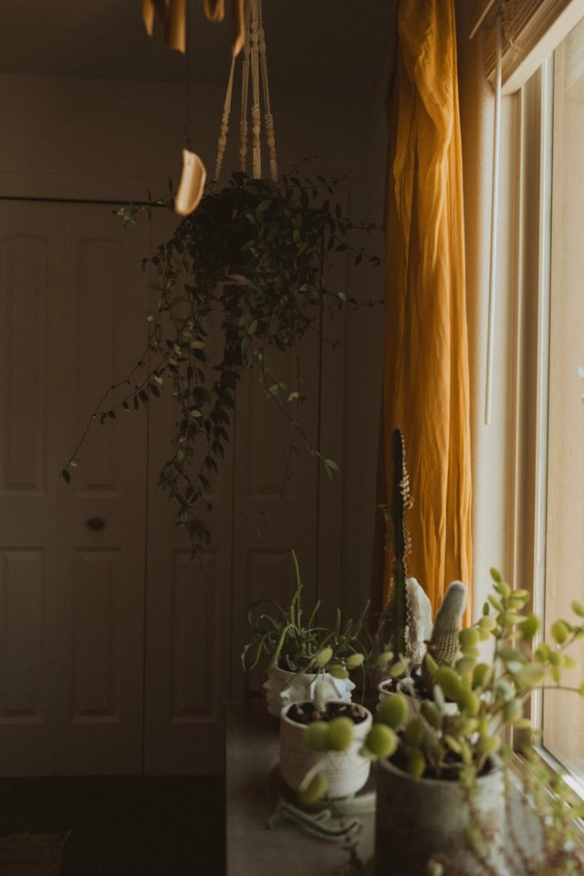 2031 E Colorado DR #209 St George, UT 84770 home for sale, MLS#25-263030 - Erika Rogers Photo 23