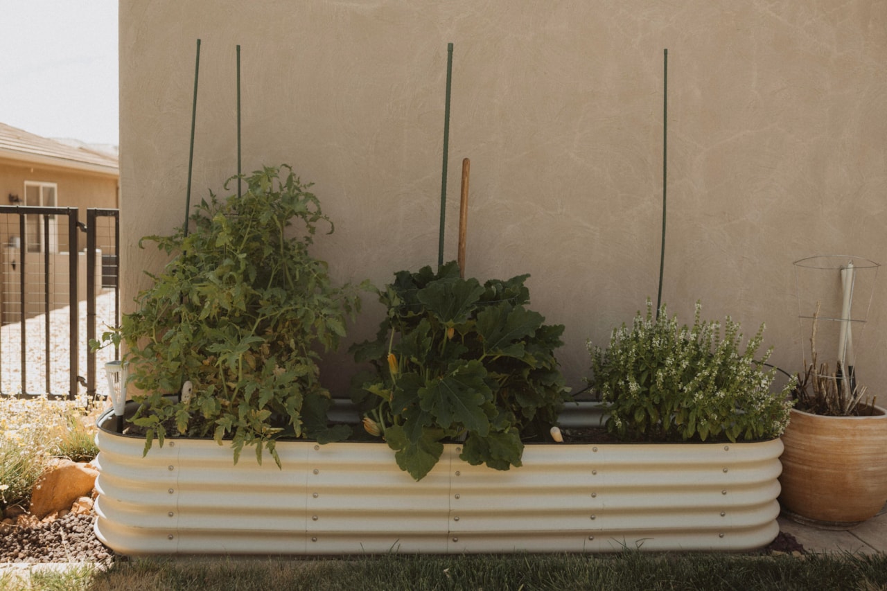 2031 E Colorado DR #209 St George, UT 84770 home for sale, MLS#25-263030 - Erika Rogers Photo 33