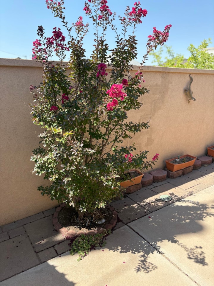 454 S 100  E #10 St George, UT 84770 home for sale, MLS#25-263171 - Erika Rogers Photo 20