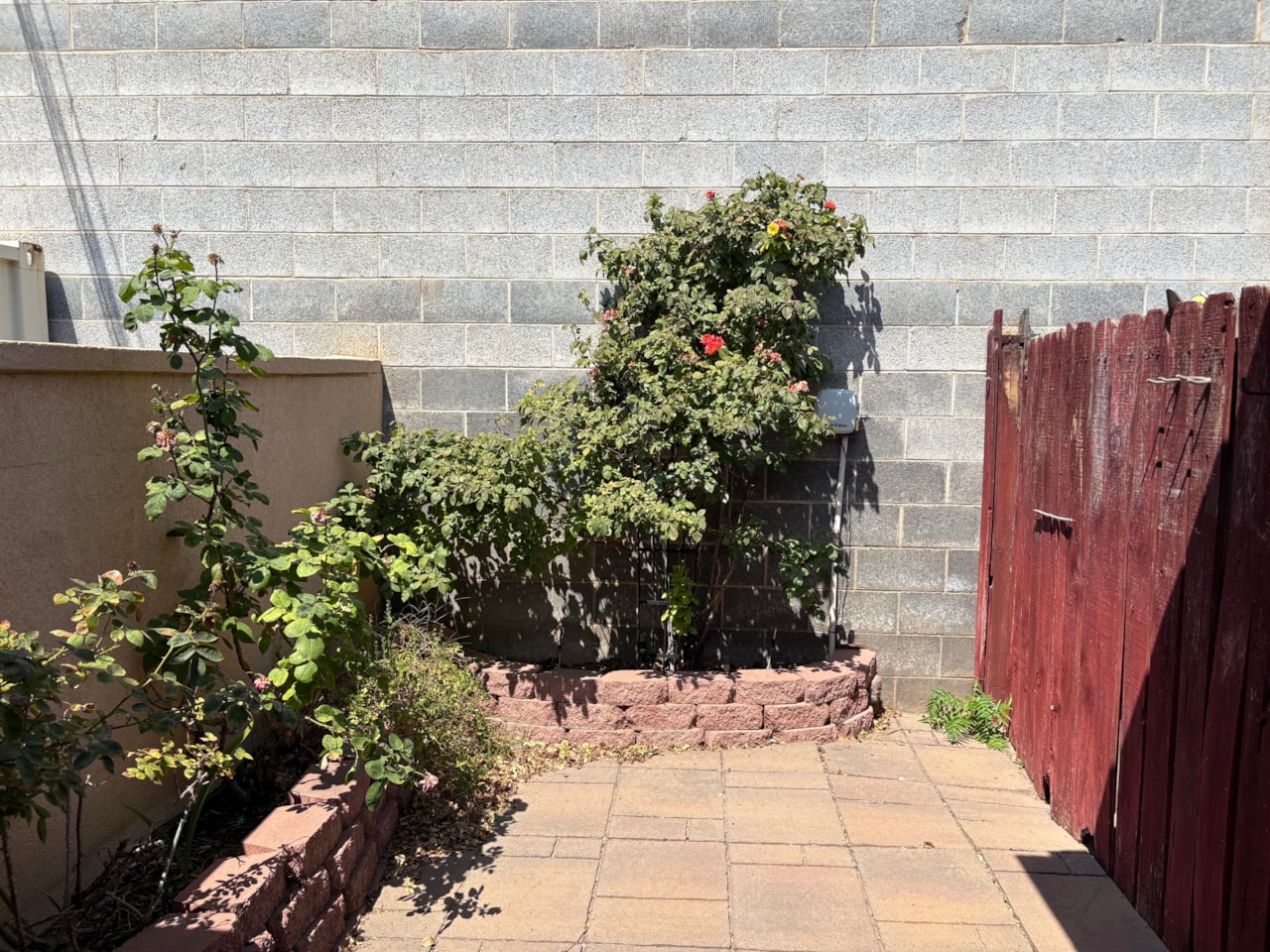 454 S 100  E #10 St George, UT 84770 home for sale, MLS#25-263171 - Erika Rogers Photo 21