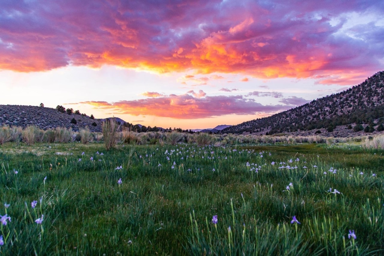 Benton Crossing Rd Benton CA 93512 MLS 250573