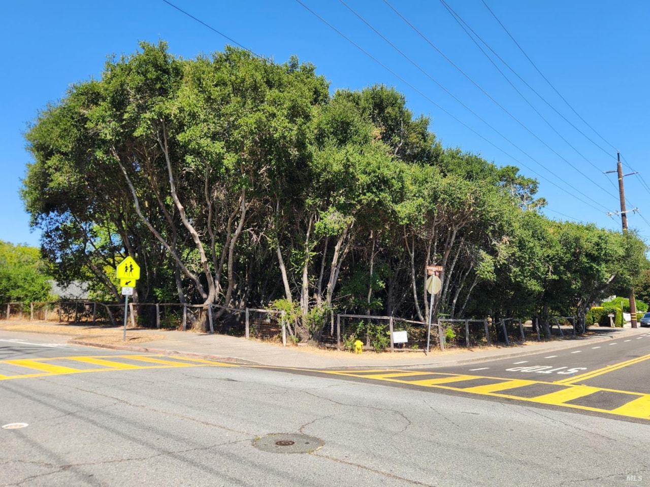 1880 Virginia Avenue Novato CA - 171 325060338 03
