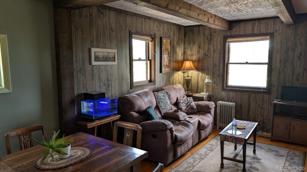 1087 Pulver Rd Lake George, CO 80827 home for sale, MLS#8962534 - The  Steller Real Estate Group, image size:1280x720