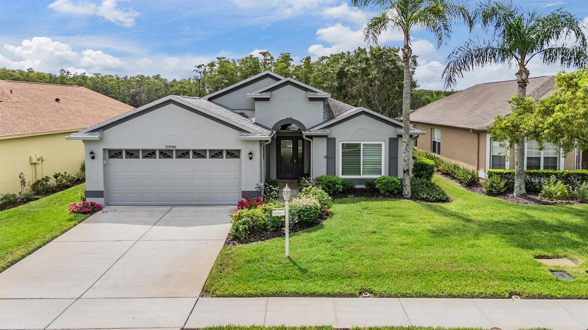 ふもふもうつほ 11946 Yellow Finch Ln Trinity, FL 34655 | MLS W7879018