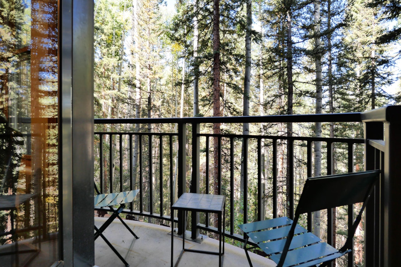 Turnkey Mountain Getaway at Bear Creek Lodge – A Telluride Investment & Lifestyle Retreat — photo 5