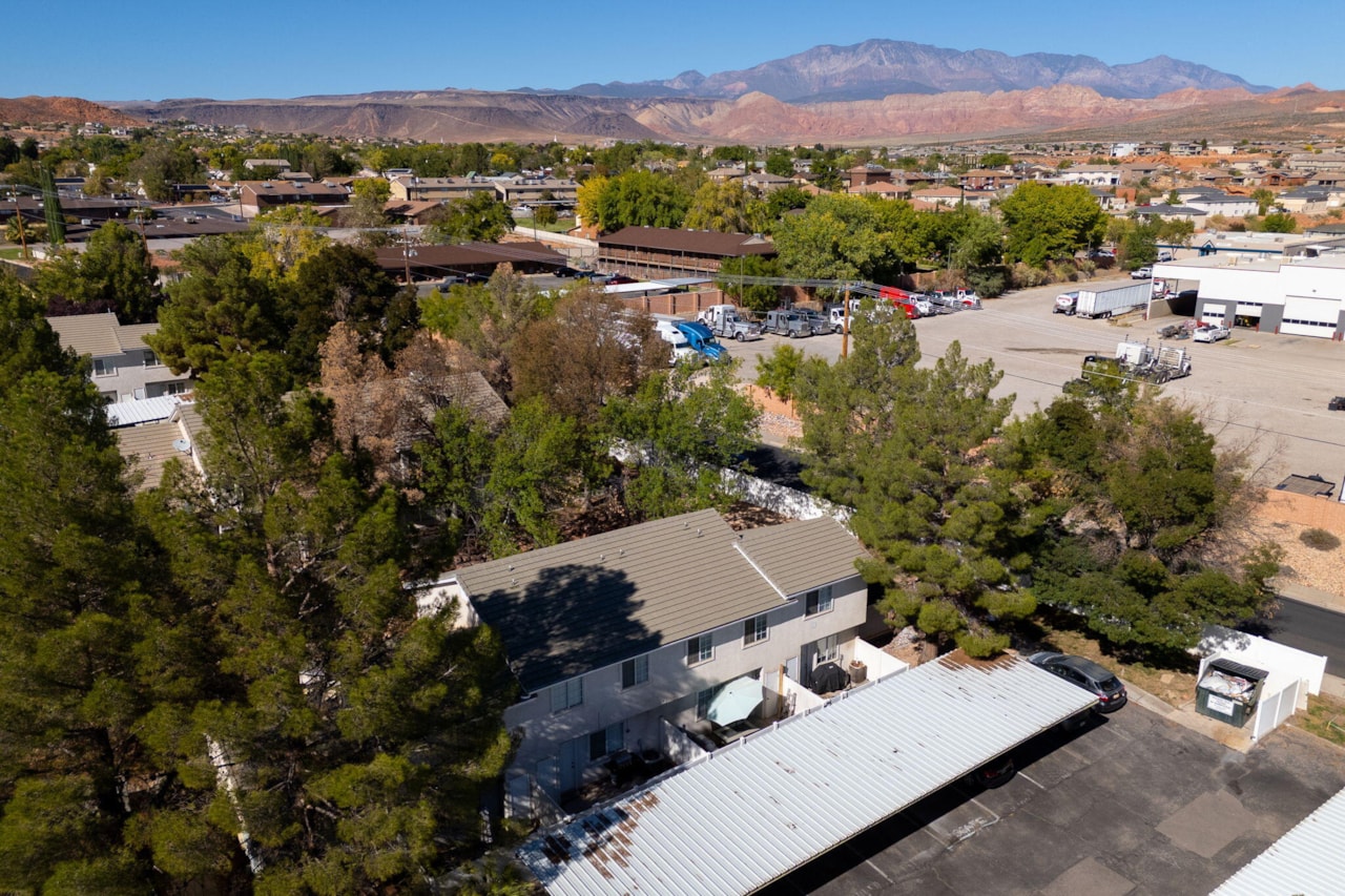 684 W Buena Vista Blvd #1003 Washington, UT 84780 home for sale, MLS#25-266353 - Erika Rogers Photo 33