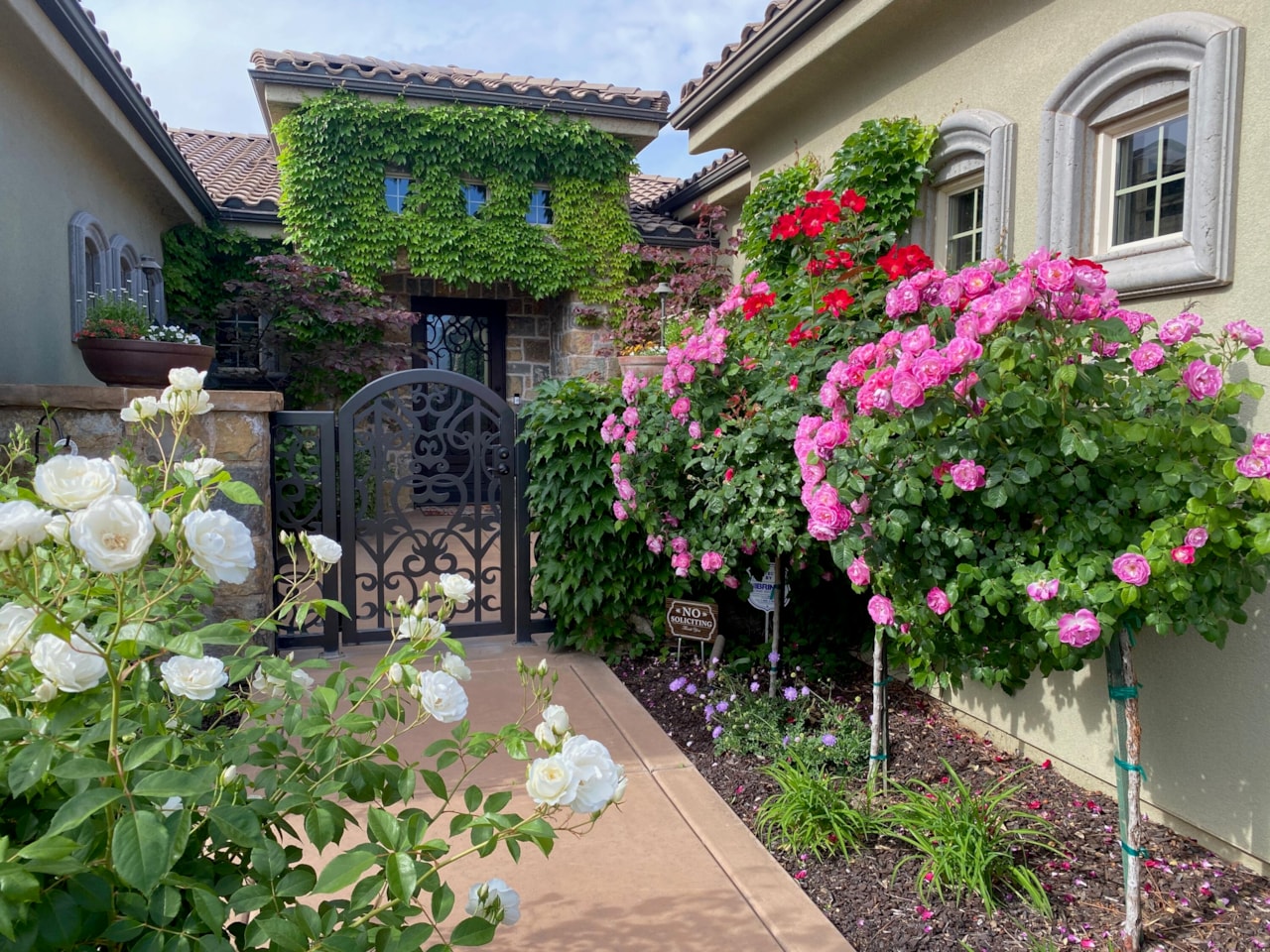 2426 E Springs DR St George, UT 84790 home for sale, MLS#25-266295 - Erika Rogers Photo 8