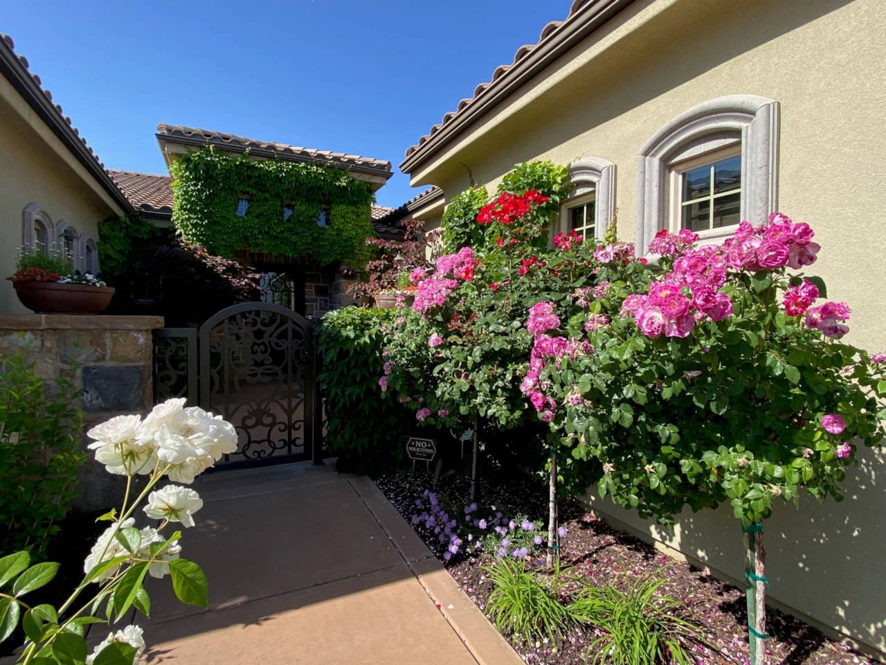 2426 E Springs DR St George, UT 84790 home for sale, MLS#25-266295 - Erika Rogers Photo 12