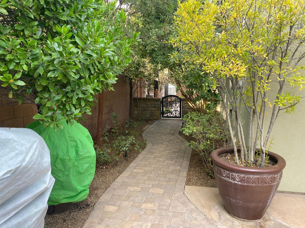 2426 E Springs DR St George, UT 84790 home for sale, MLS#25-266295 - Erika Rogers Photo 25