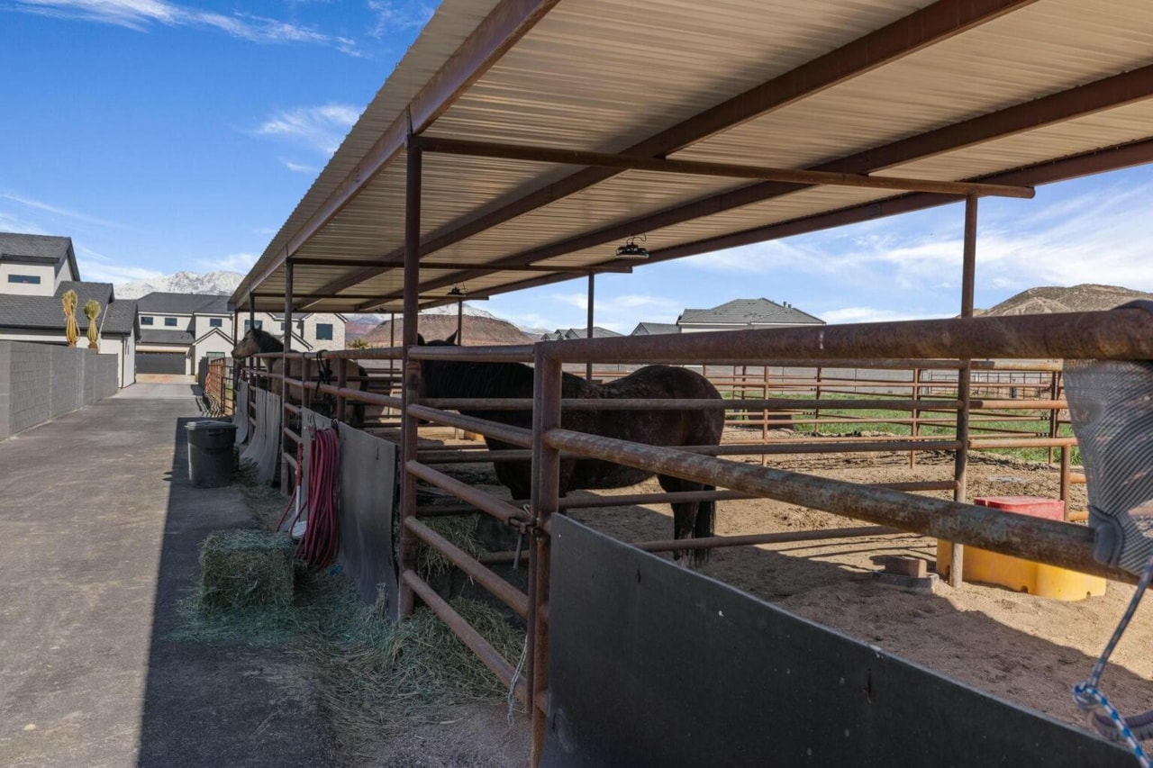 646 E Pine ST Washington, UT 84780 home for sale, MLS#25-264690 - Erika Rogers Photo 6