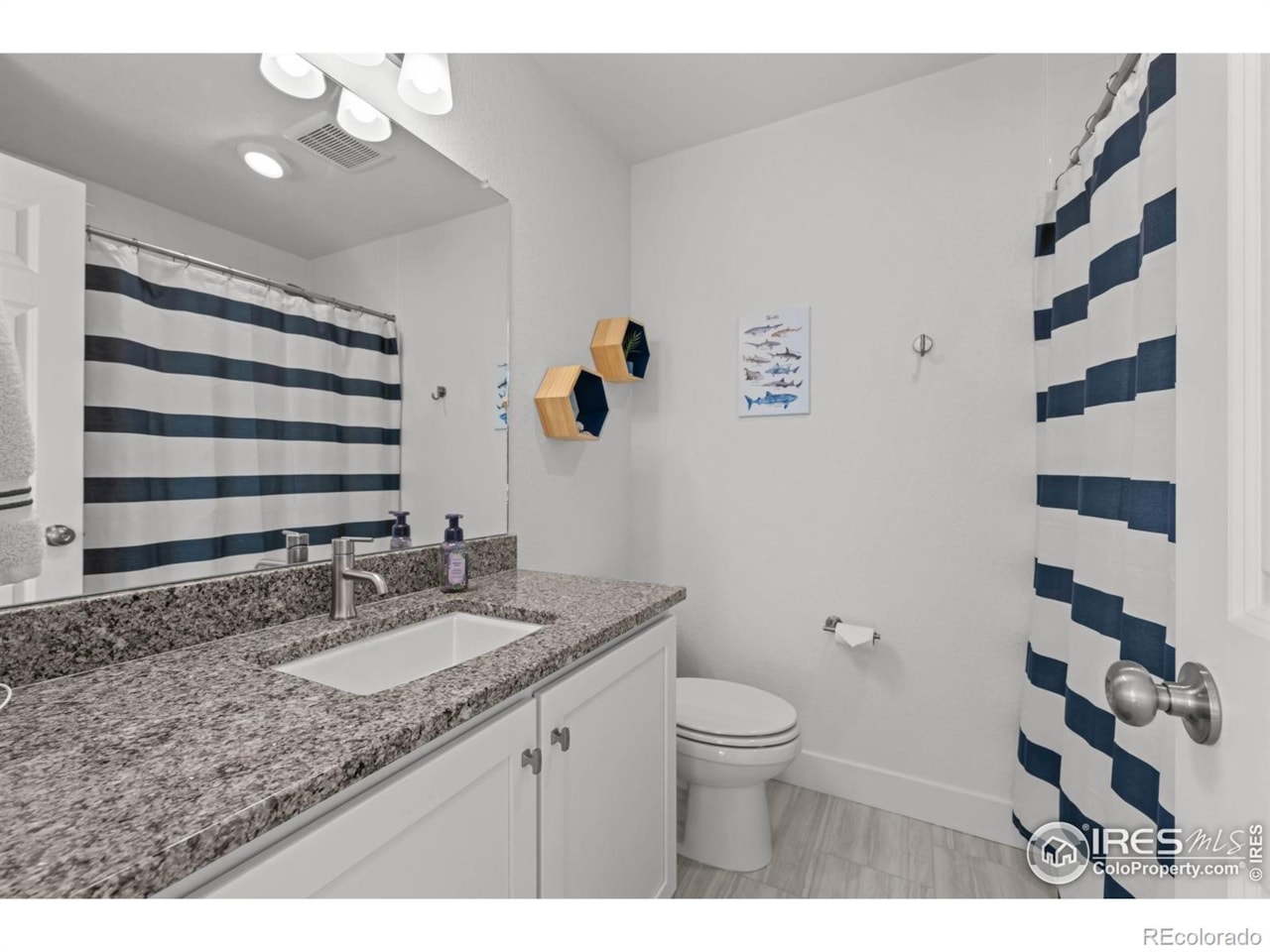 4984 N Jericho St Green Valley Ranch Filing 39 Experience modern luxury in the exclusive, gated Green Valley Ranch golf community-one of Denver's... Denver Denver CO 80249 IR1047117 home for sale $1,095,000 IR1047117 Photo 29