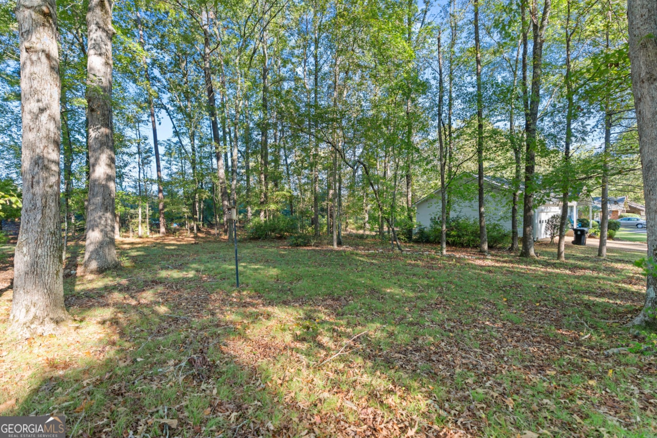 Best Dog Parks in Rome, Georgia, image size:1280x854