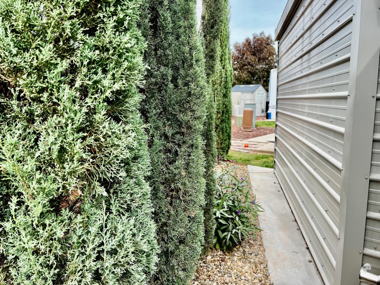 1160 E Telegraph ST #16 Washington, UT 84780 home for sale, MLS#25-266818 - Erika Rogers Photo 20